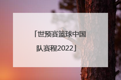 「世预赛篮球中国队赛程2022」男篮世预赛篮球中国队赛程