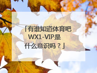 有谁知道体育吧WX1-VIP是什么意识吗？