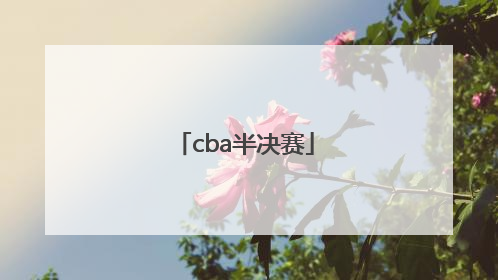 「cba半决赛」cba半决赛辽宁对广东第一场