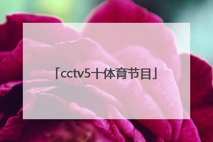 「cctv5十体育节目」cctv体育频道