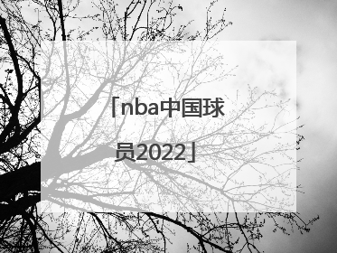 「nba中国球员2022」nba中国球员名单有哪些